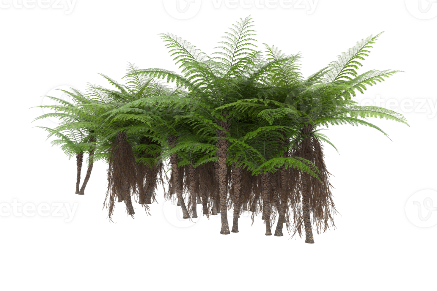 Realistic forest isolated on transparent background. 3d rendering - illustration png