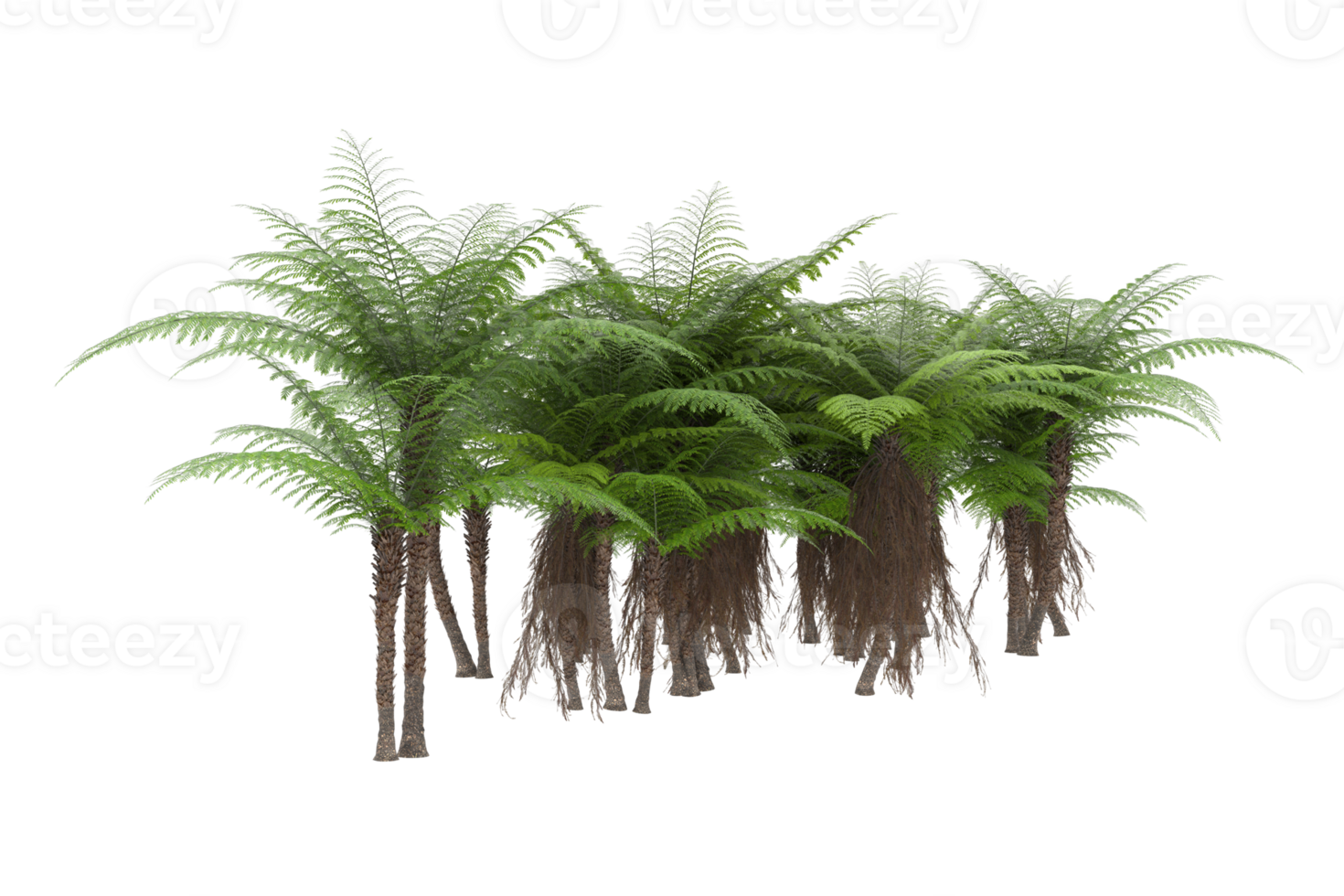 Realistic forest isolated on transparent background. 3d rendering - illustration png