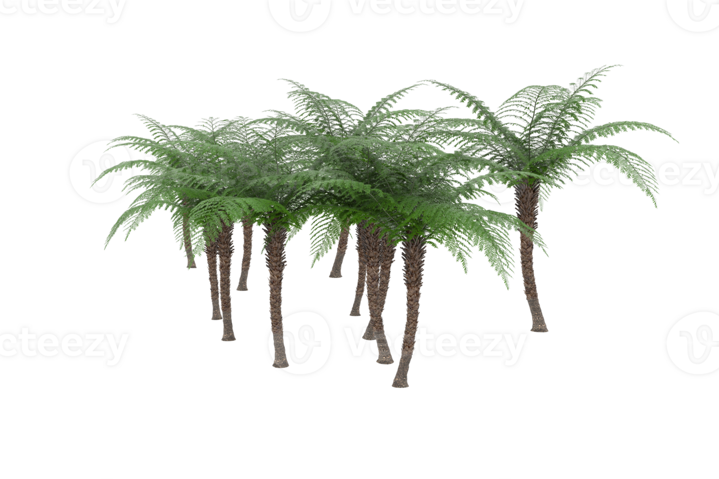 Realistic forest isolated on transparent background. 3d rendering - illustration png