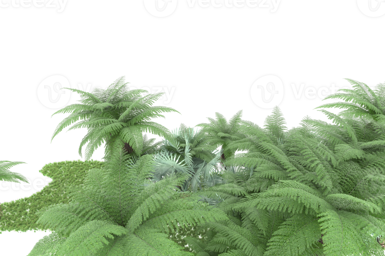 Realistic forest isolated on transparent background. 3d rendering - illustration png
