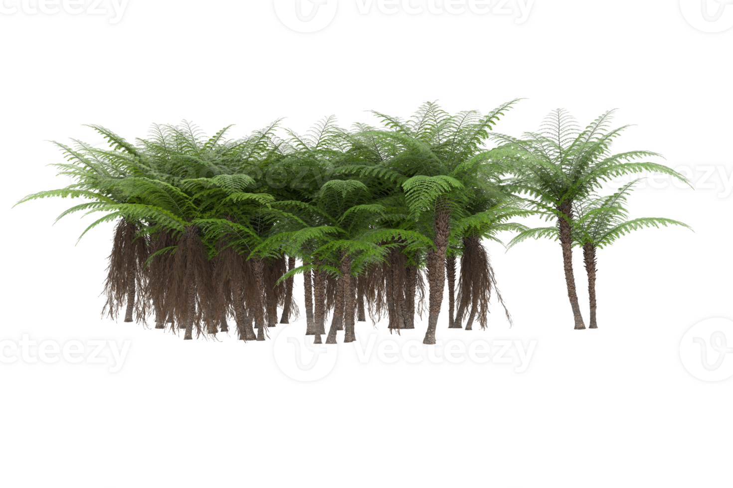 Realistic forest isolated on transparent background. 3d rendering - illustration png
