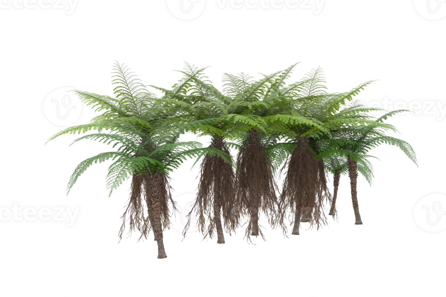 Realistic forest isolated on transparent background. 3d rendering - illustration png