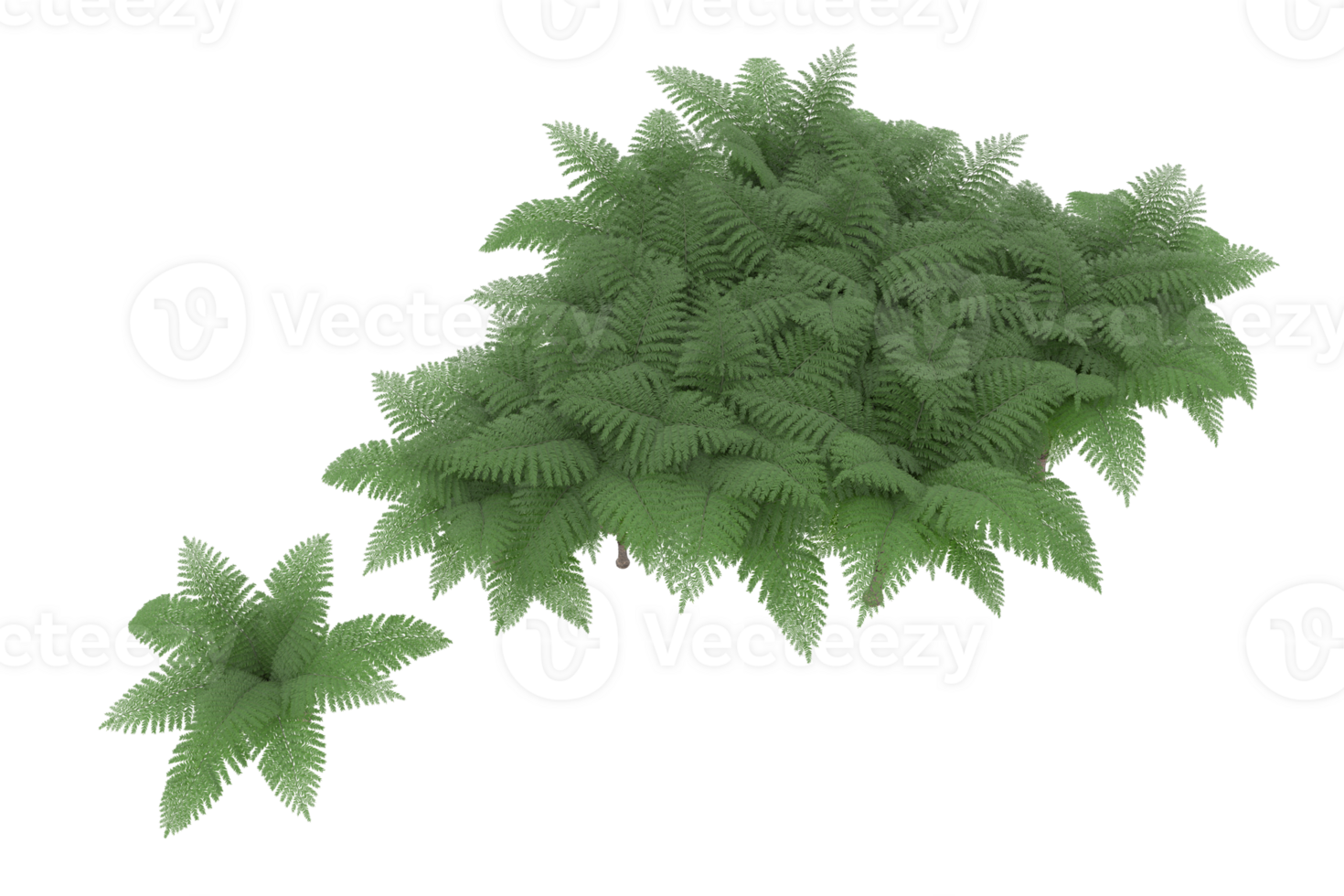 Realistic forest isolated on transparent background. 3d rendering - illustration png
