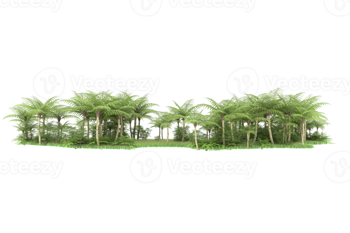 Realistic forest isolated on transparent background. 3d rendering - illustration png