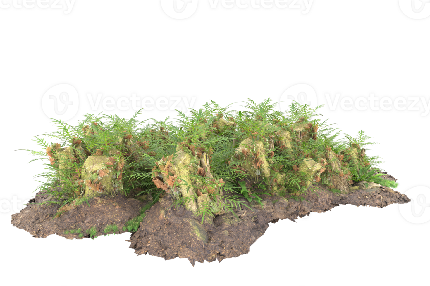 Realistic forest isolated on transparent background. 3d rendering - illustration png