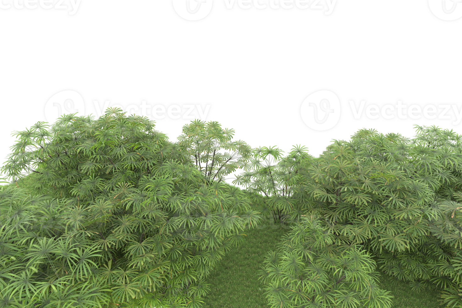 Realistic forest isolated on transparent background. 3d rendering - illustration png