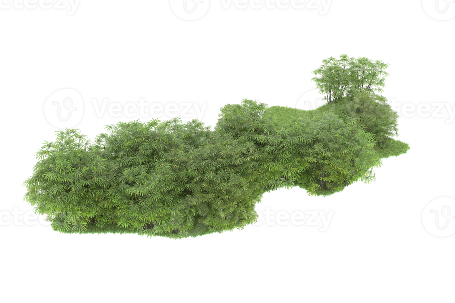 Realistic forest isolated on transparent background. 3d rendering - illustration png