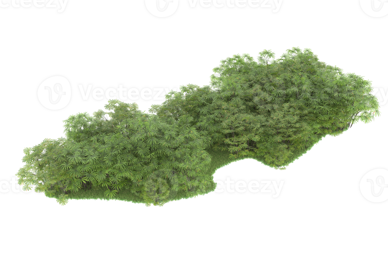 Realistic forest isolated on transparent background. 3d rendering - illustration png