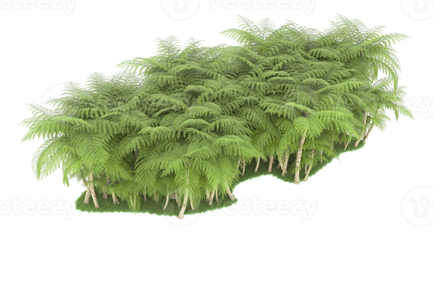 Realistic forest isolated on transparent background. 3d rendering - illustration png