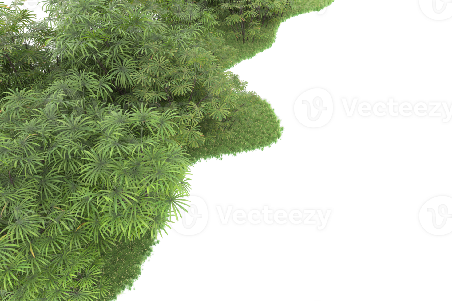 Realistic forest isolated on transparent background. 3d rendering - illustration png