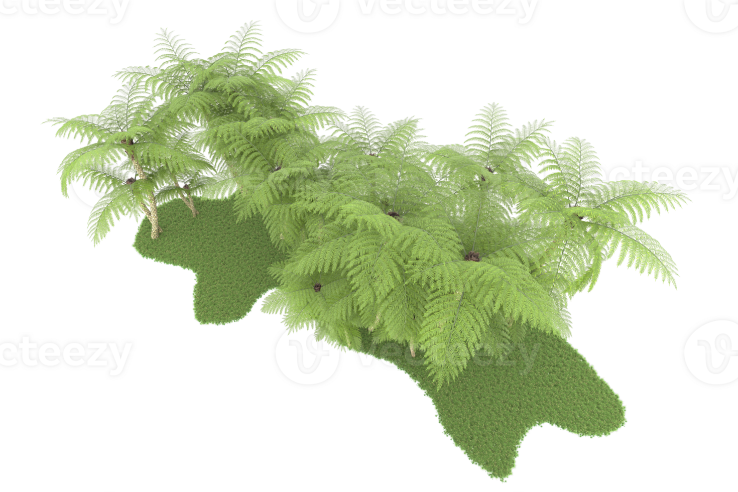 Realistic forest isolated on transparent background. 3d rendering - illustration png