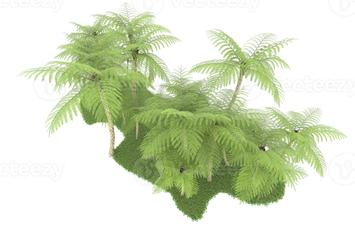 Realistic forest isolated on transparent background. 3d rendering - illustration png
