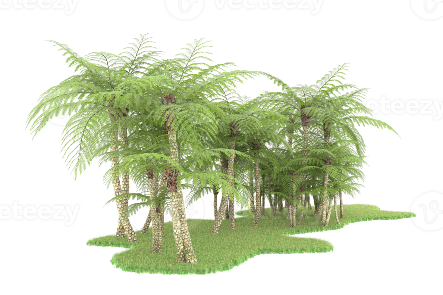 Realistic forest isolated on transparent background. 3d rendering - illustration png