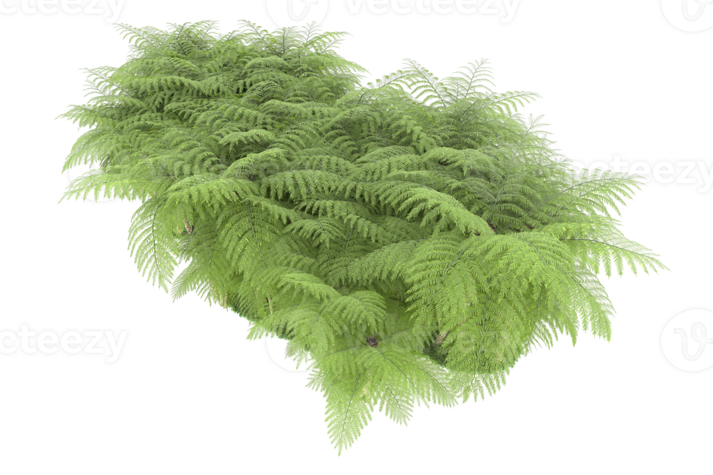 Realistic forest isolated on transparent background. 3d rendering - illustration png