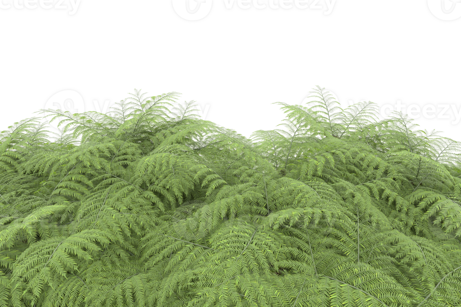 Realistic forest isolated on transparent background. 3d rendering - illustration png