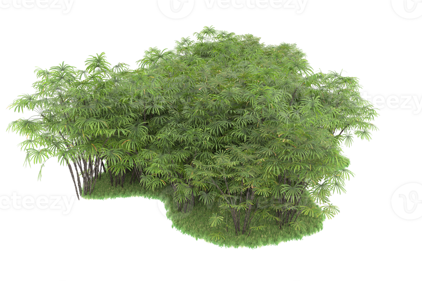 Realistic forest isolated on transparent background. 3d rendering - illustration png