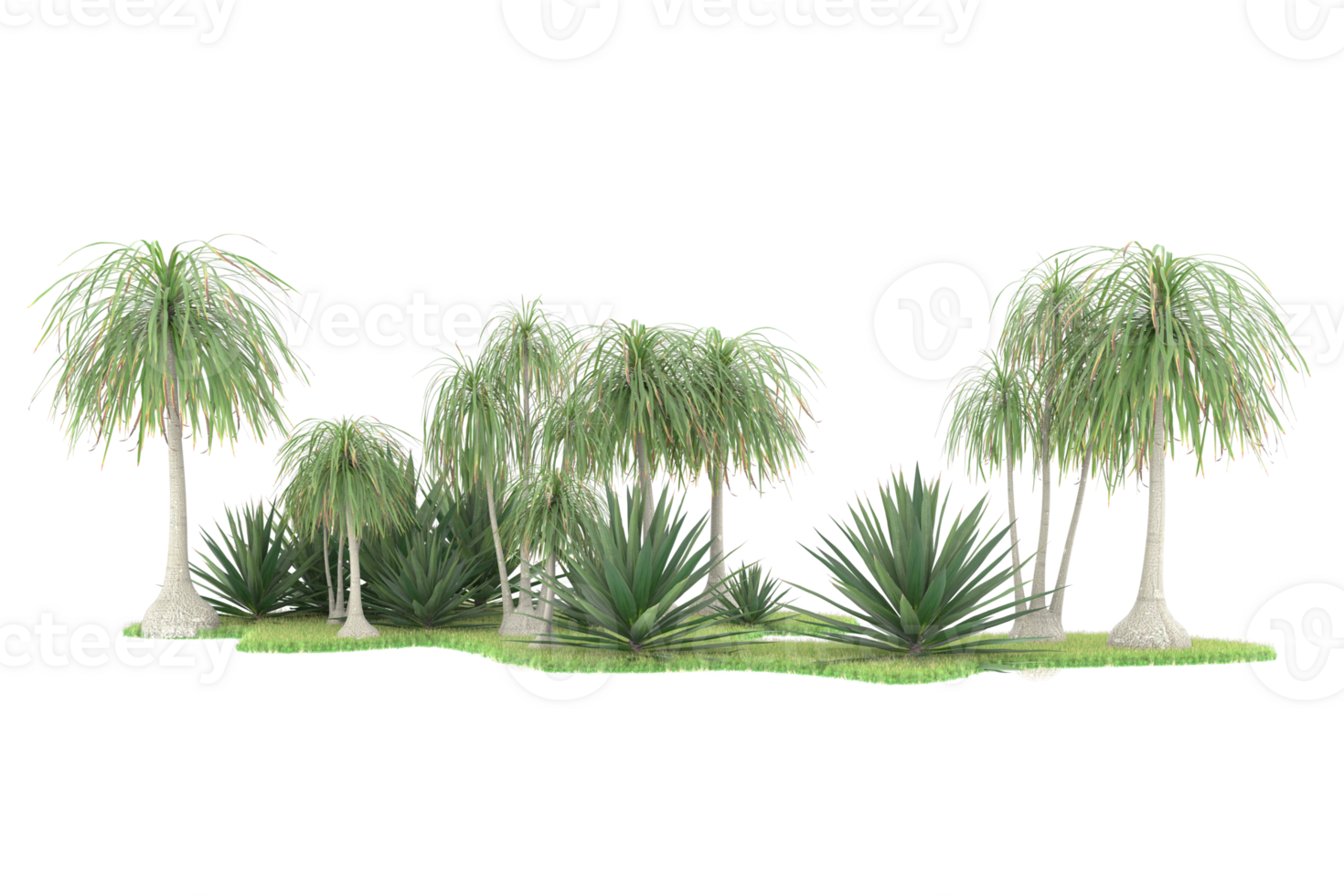 Realistic forest isolated on transparent background. 3d rendering - illustration png
