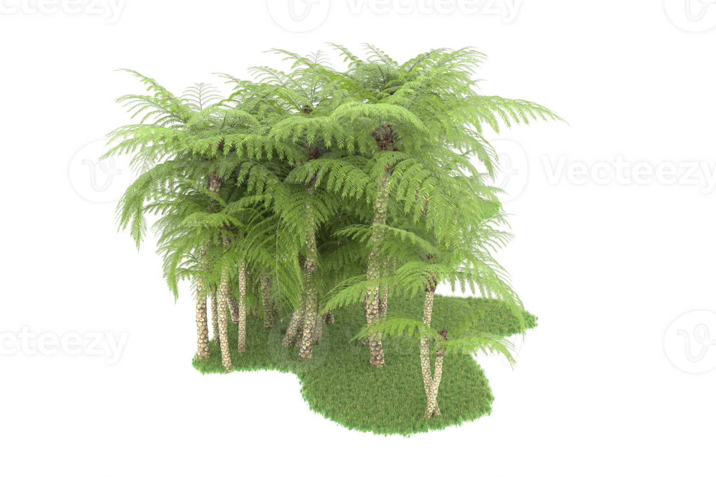 Realistic forest isolated on transparent background. 3d rendering - illustration png
