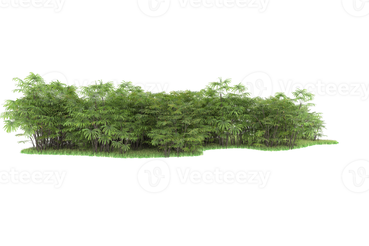 Realistic forest isolated on transparent background. 3d rendering - illustration png