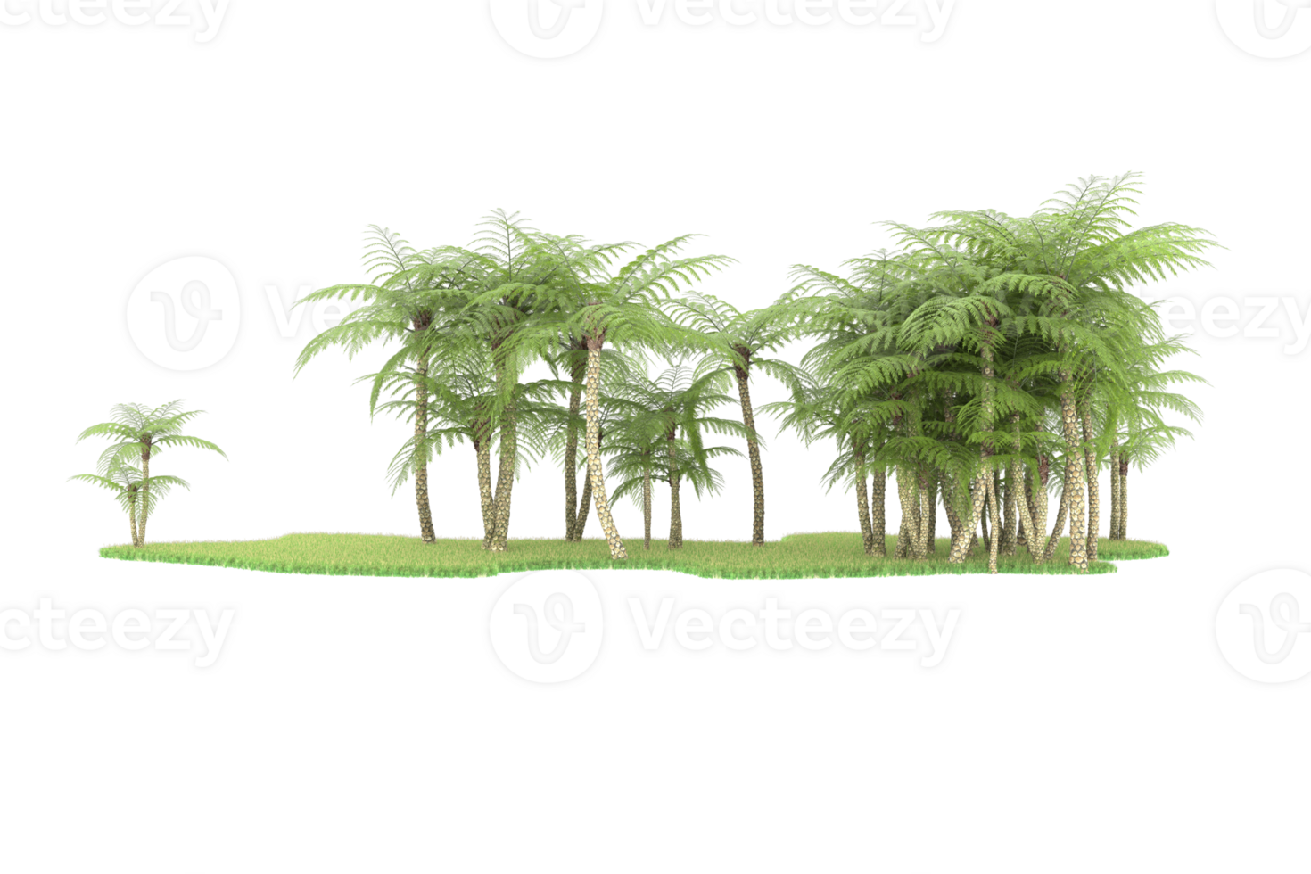 Realistic forest isolated on transparent background. 3d rendering - illustration png