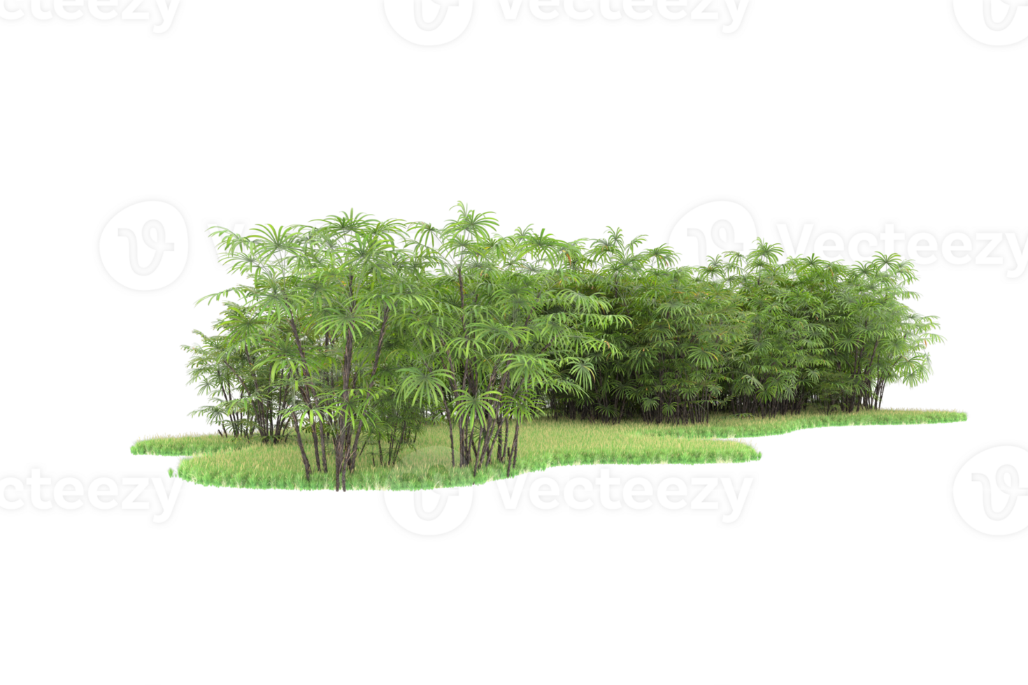 Realistic forest isolated on transparent background. 3d rendering - illustration png