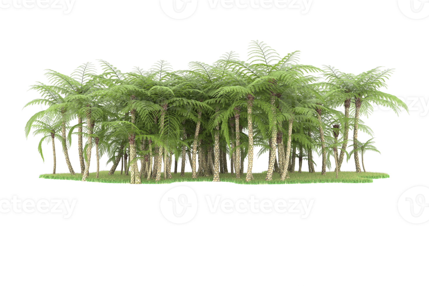 Realistic forest isolated on transparent background. 3d rendering - illustration png