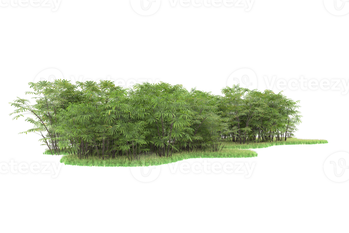 Realistic forest isolated on transparent background. 3d rendering - illustration png