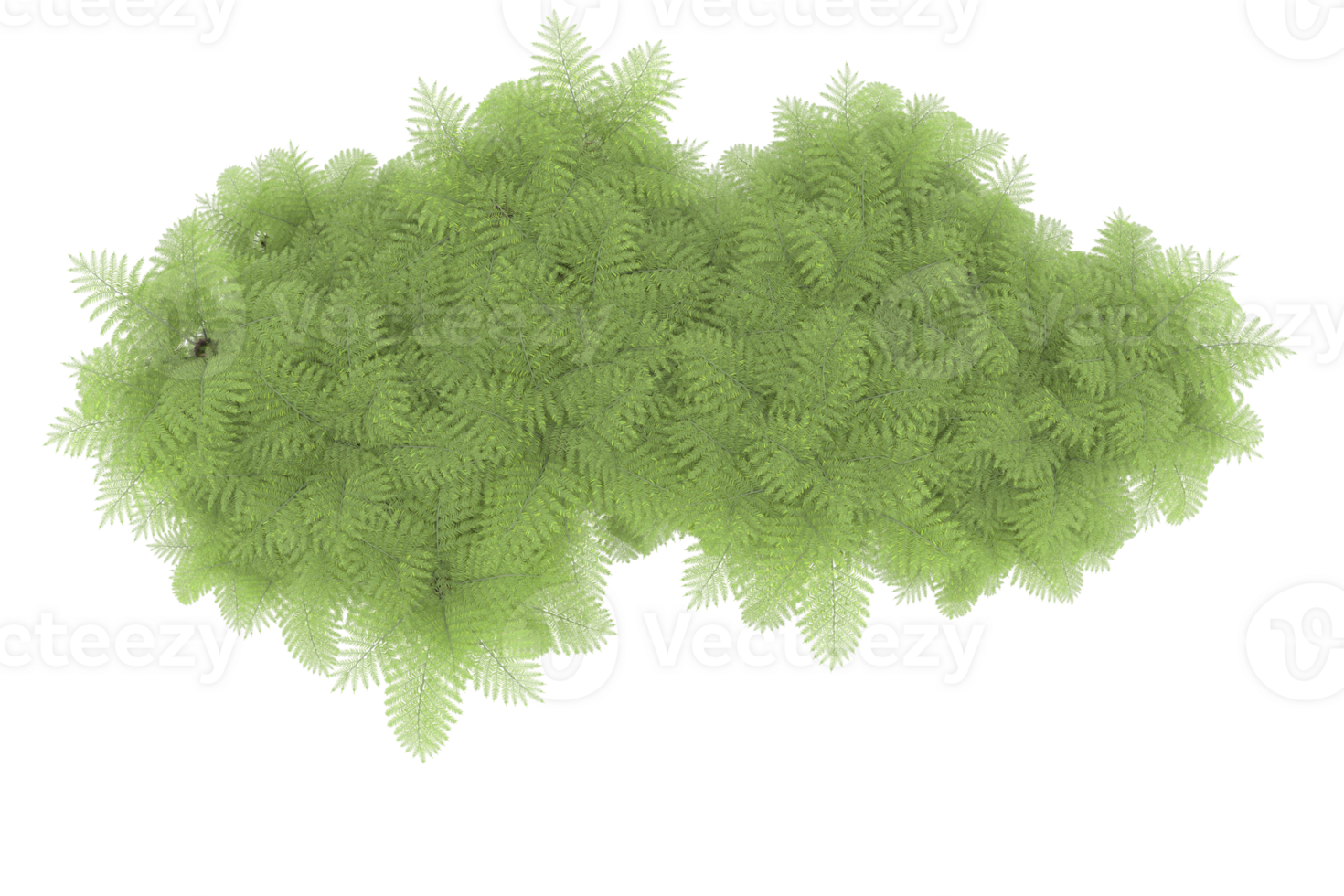 Realistic forest isolated on transparent background. 3d rendering - illustration png