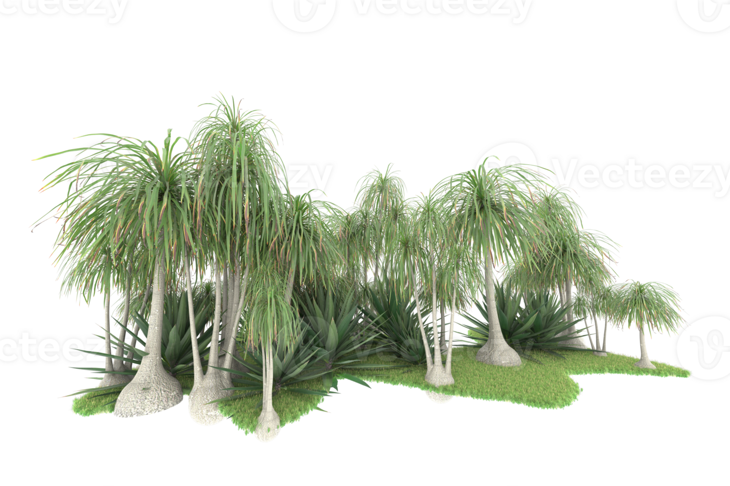 Realistic forest isolated on transparent background. 3d rendering - illustration png