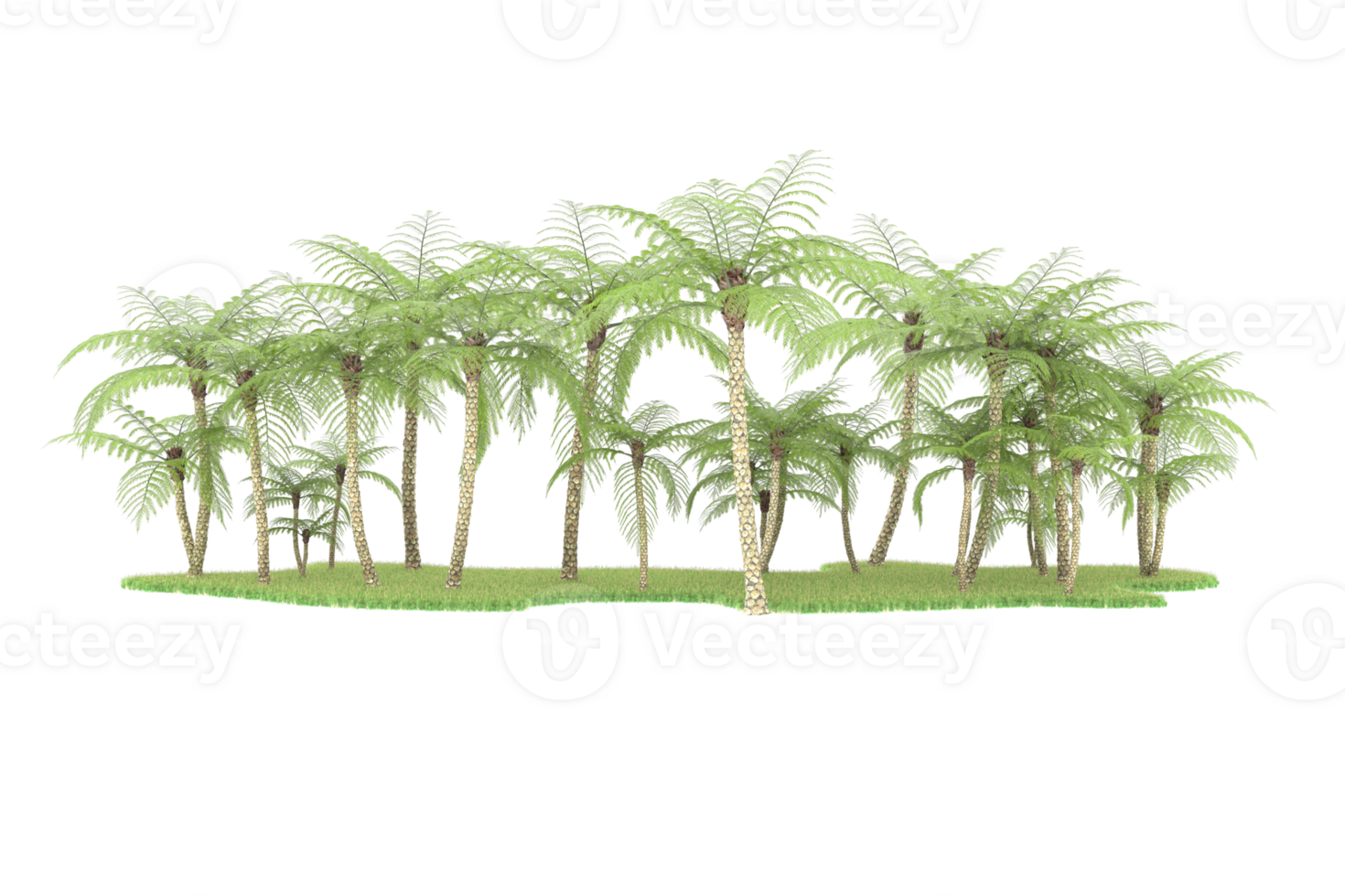 Realistic forest isolated on transparent background. 3d rendering - illustration png
