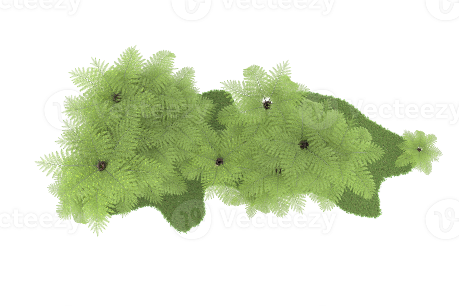 Realistic forest isolated on transparent background. 3d rendering - illustration png