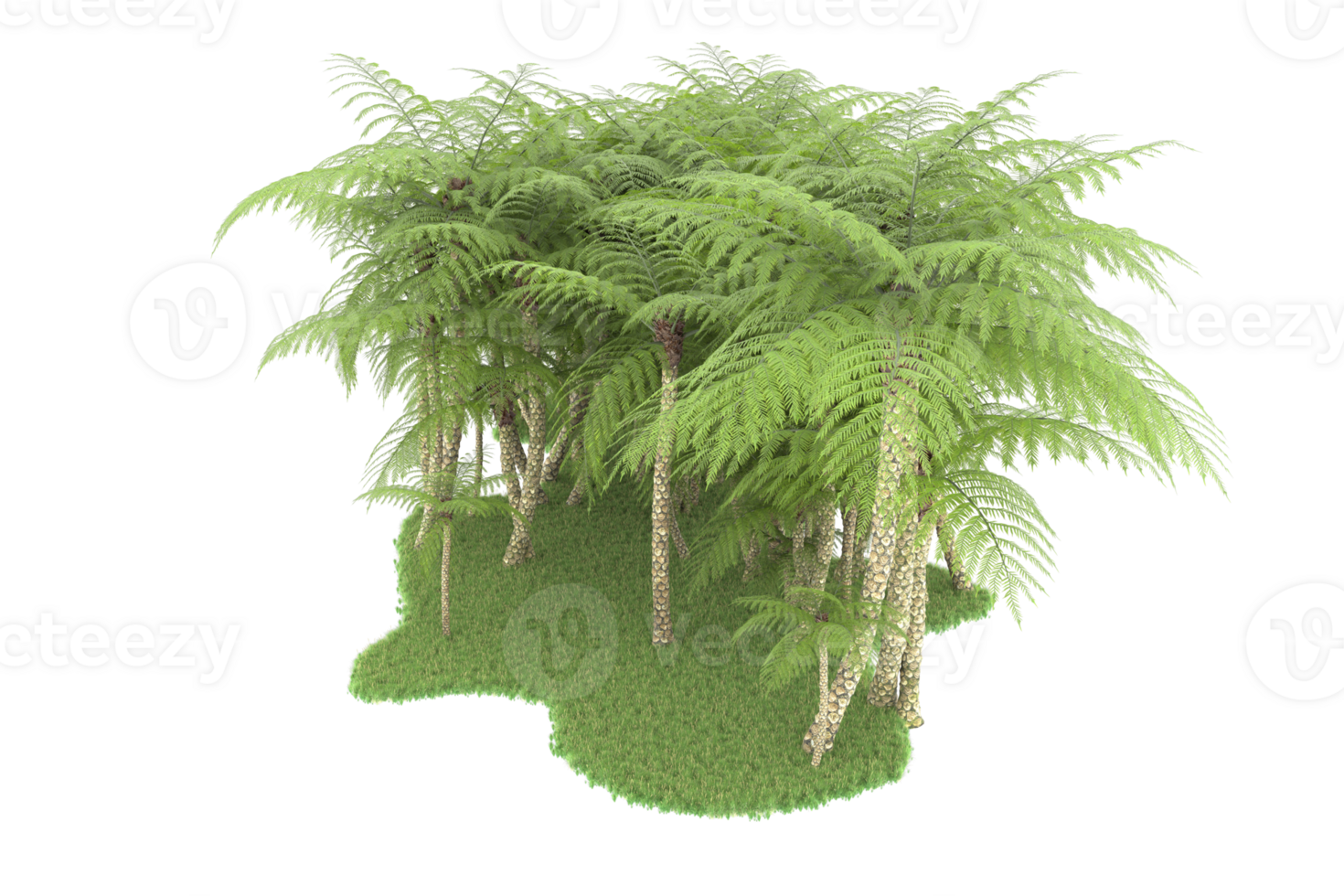 Realistic forest isolated on transparent background. 3d rendering - illustration png