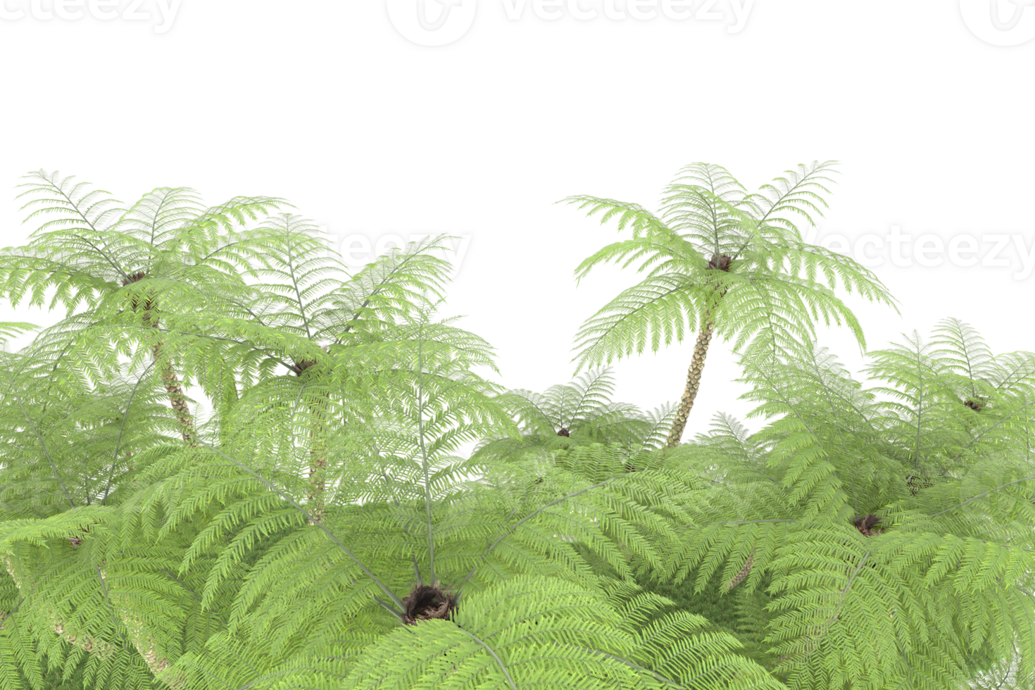 Realistic forest isolated on transparent background. 3d rendering - illustration png