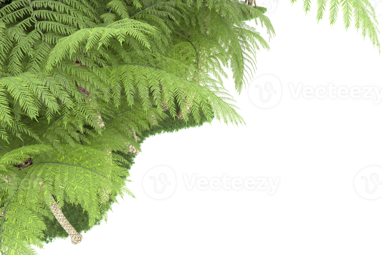 Realistic forest isolated on transparent background. 3d rendering - illustration png