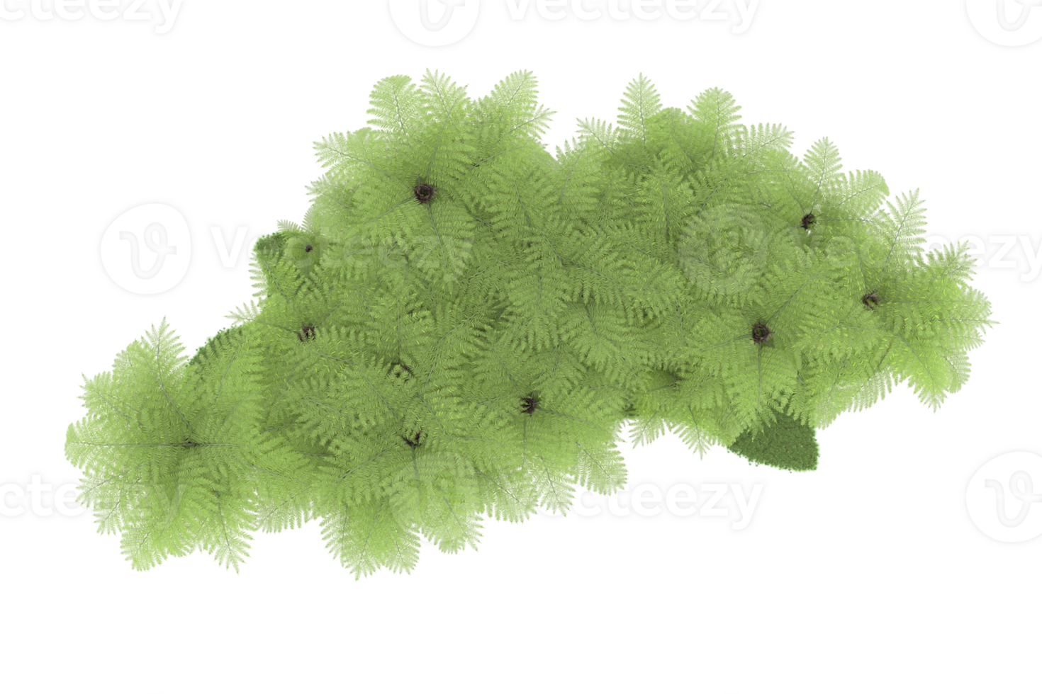 Realistic forest isolated on transparent background. 3d rendering - illustration png