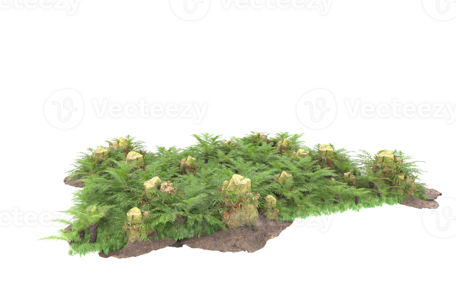 Realistic forest isolated on transparent background. 3d rendering - illustration png