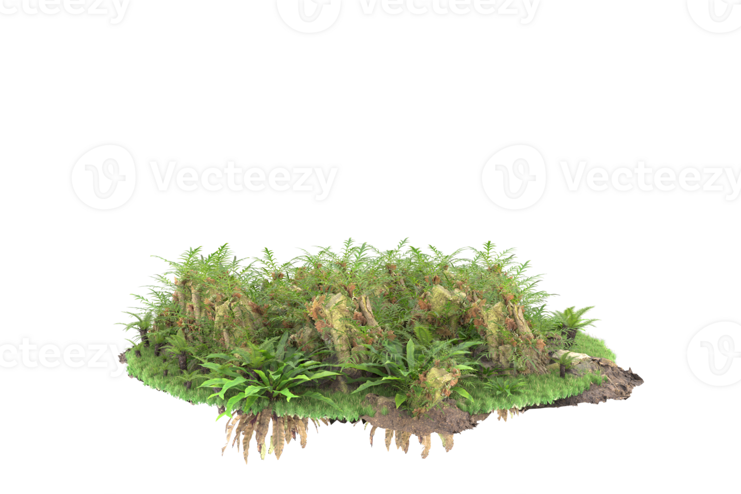 Realistic forest isolated on transparent background. 3d rendering - illustration png