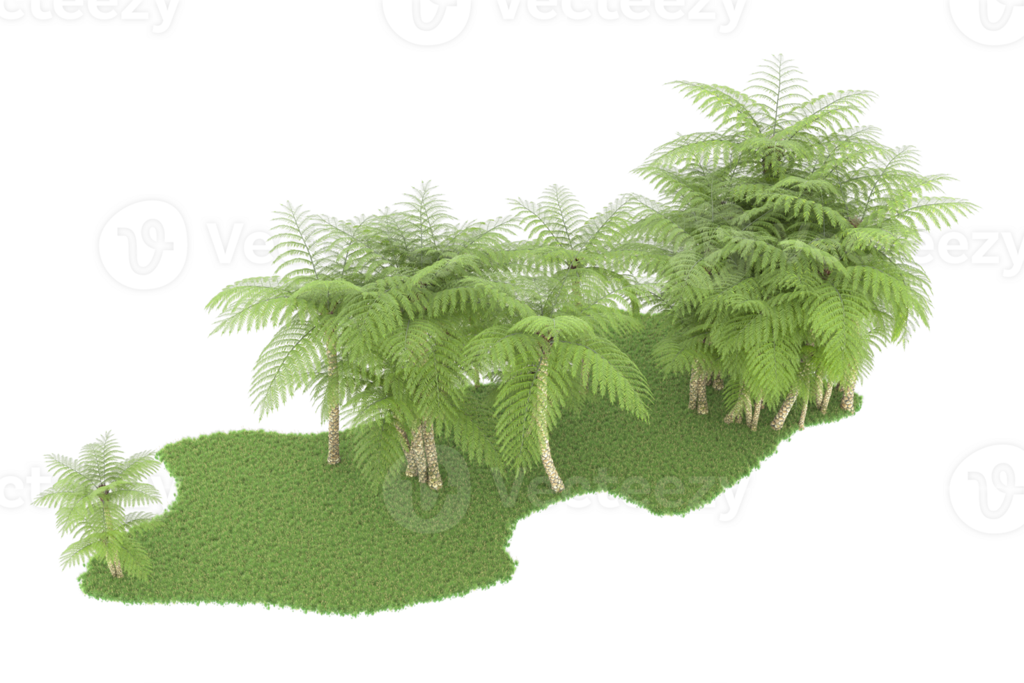 Realistic forest isolated on transparent background. 3d rendering - illustration png