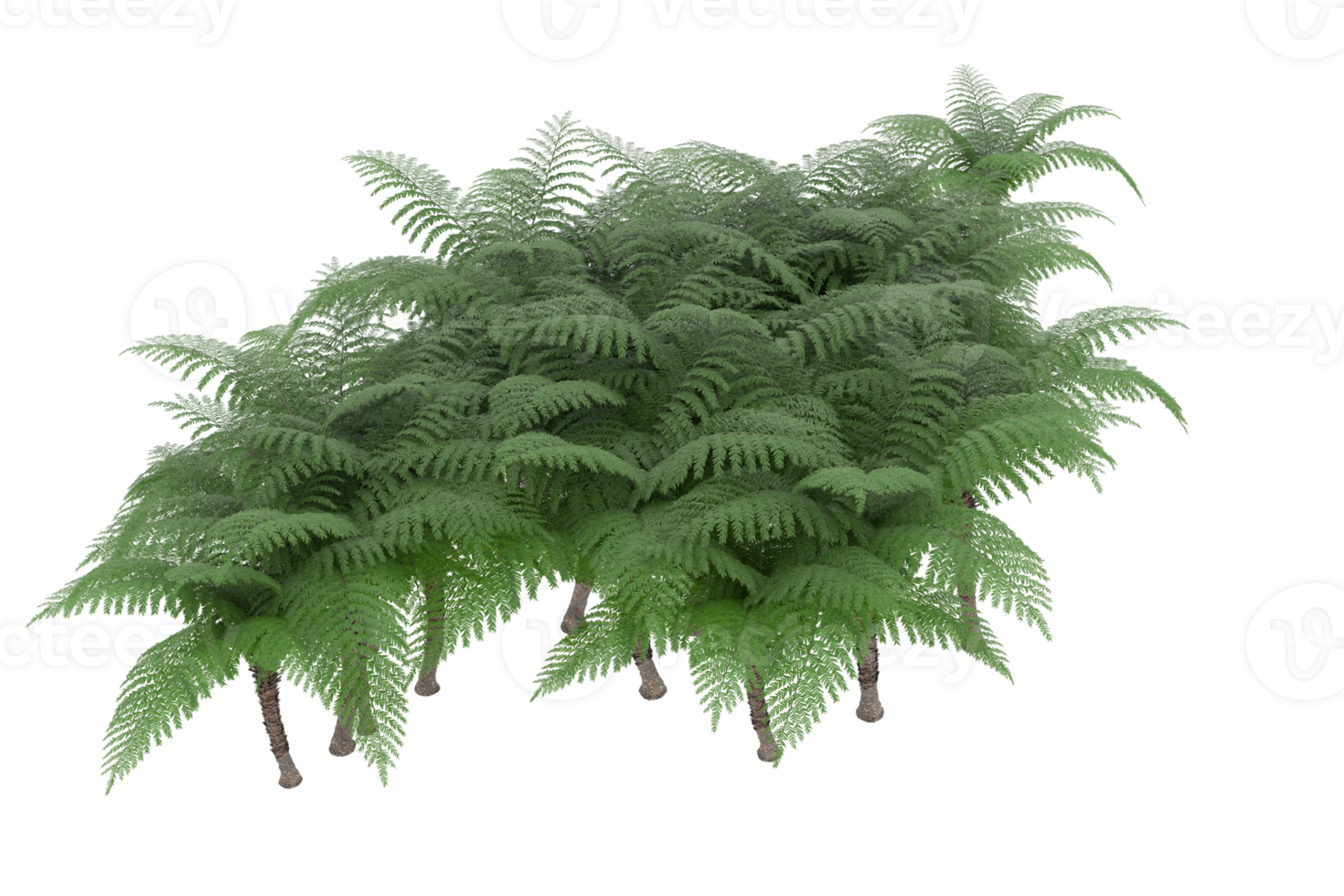 Realistic forest isolated on transparent background. 3d rendering - illustration png