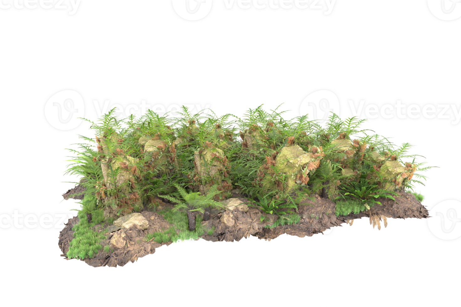 Realistic forest isolated on transparent background. 3d rendering - illustration png