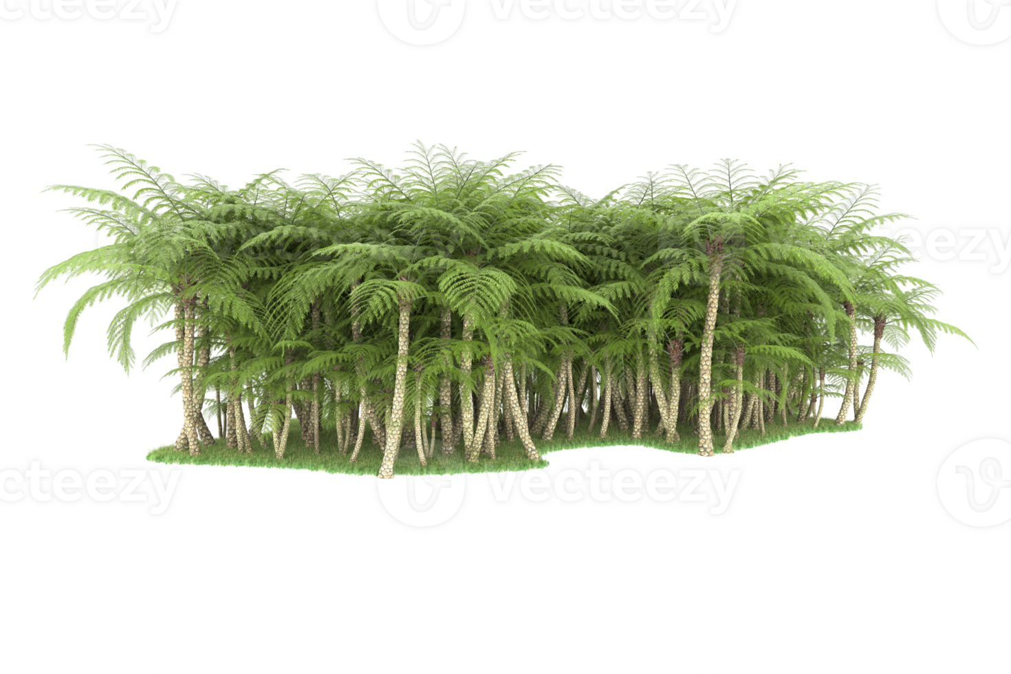 Realistic forest isolated on transparent background. 3d rendering - illustration png