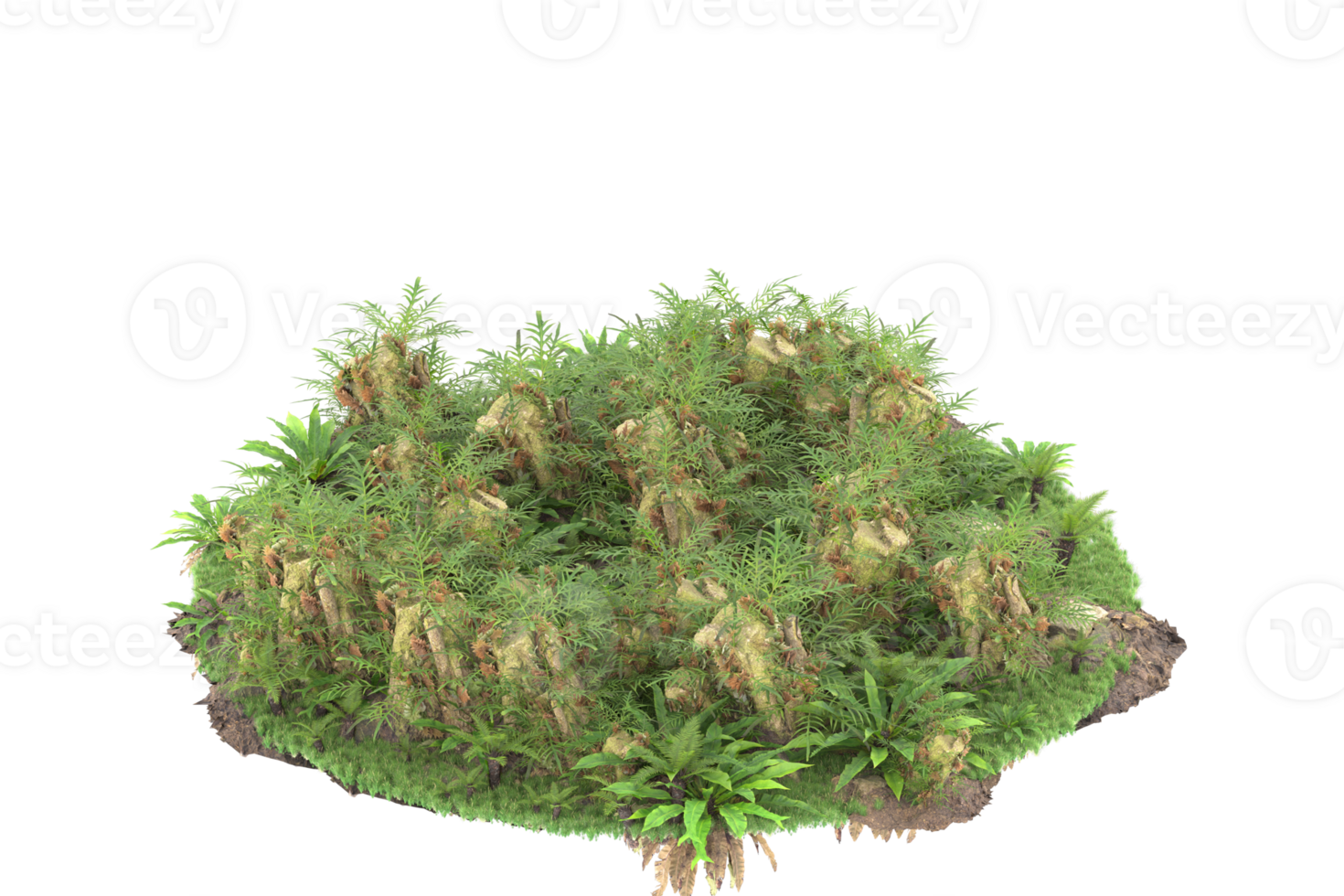 Realistic forest isolated on transparent background. 3d rendering - illustration png