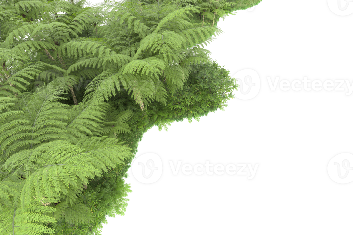 Realistic forest isolated on transparent background. 3d rendering - illustration png