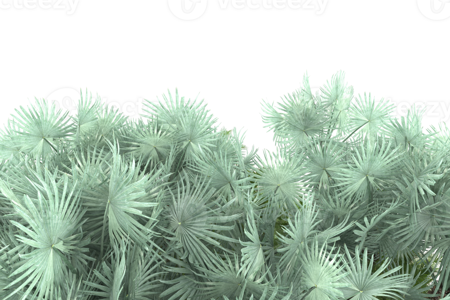 Realistic forest isolated on transparent background. 3d rendering - illustration png