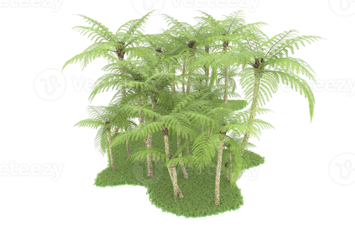 Realistic forest isolated on transparent background. 3d rendering - illustration png