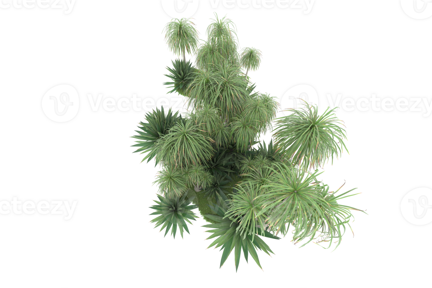 Realistic forest isolated on transparent background. 3d rendering - illustration png
