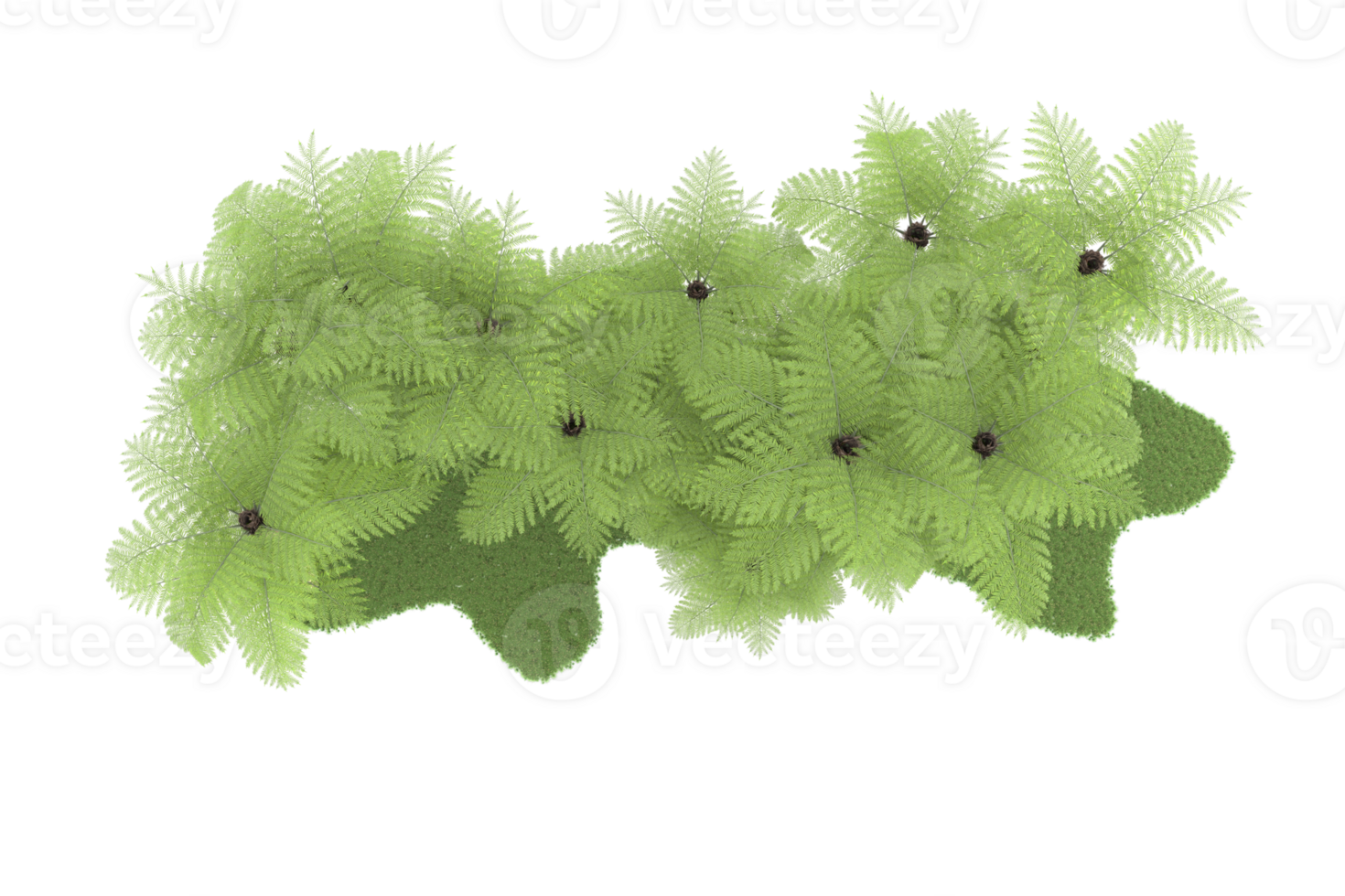 Realistic forest isolated on transparent background. 3d rendering - illustration png