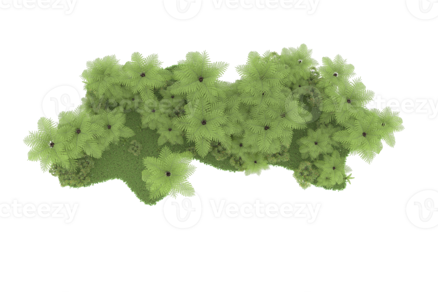Realistic forest isolated on transparent background. 3d rendering - illustration png