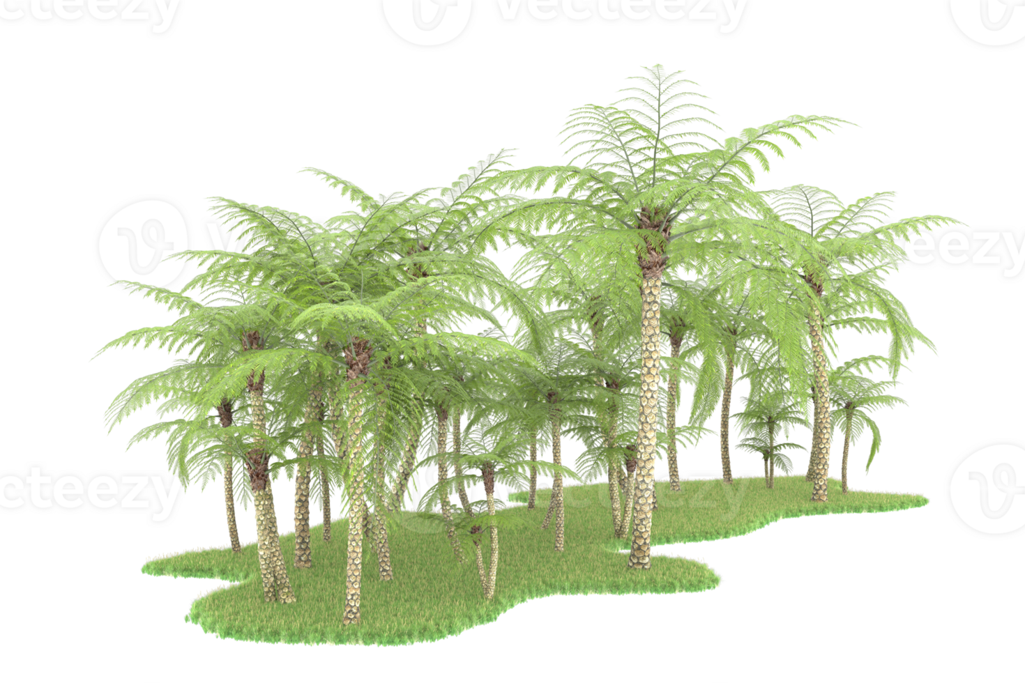 Realistic forest isolated on transparent background. 3d rendering - illustration png