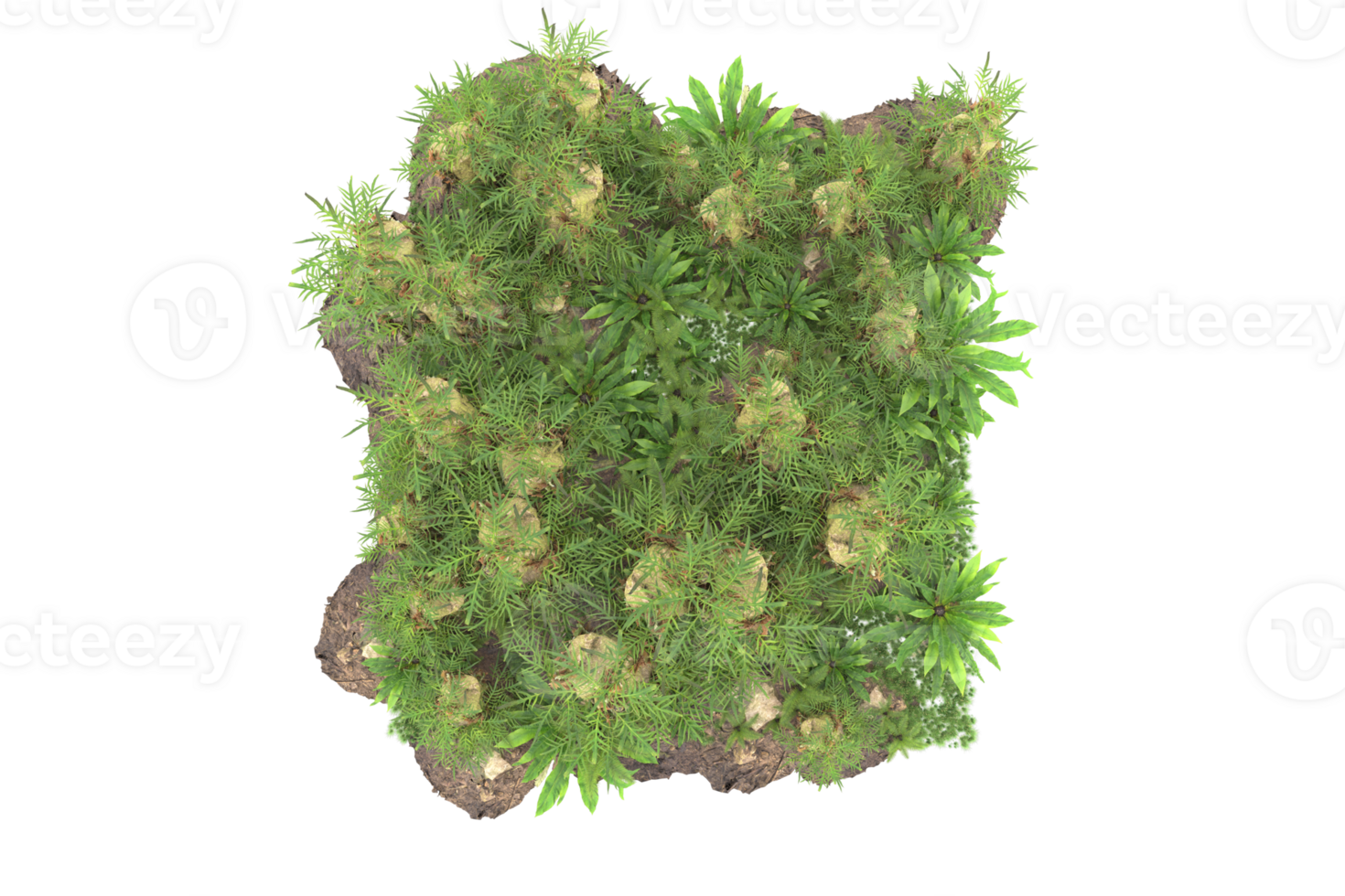 Realistic forest isolated on transparent background. 3d rendering - illustration png